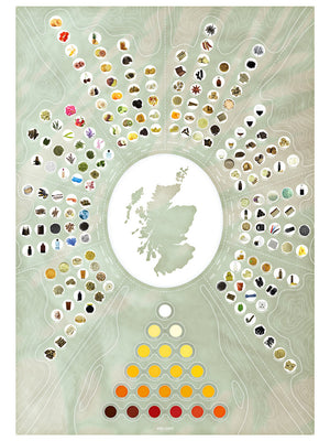 Whisky Flavour Chart - Contour Series