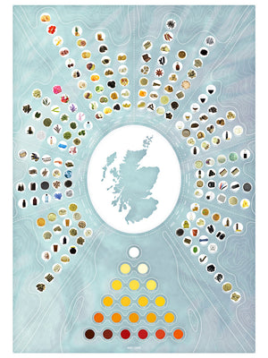 Whisky Flavour Chart - Contour Series