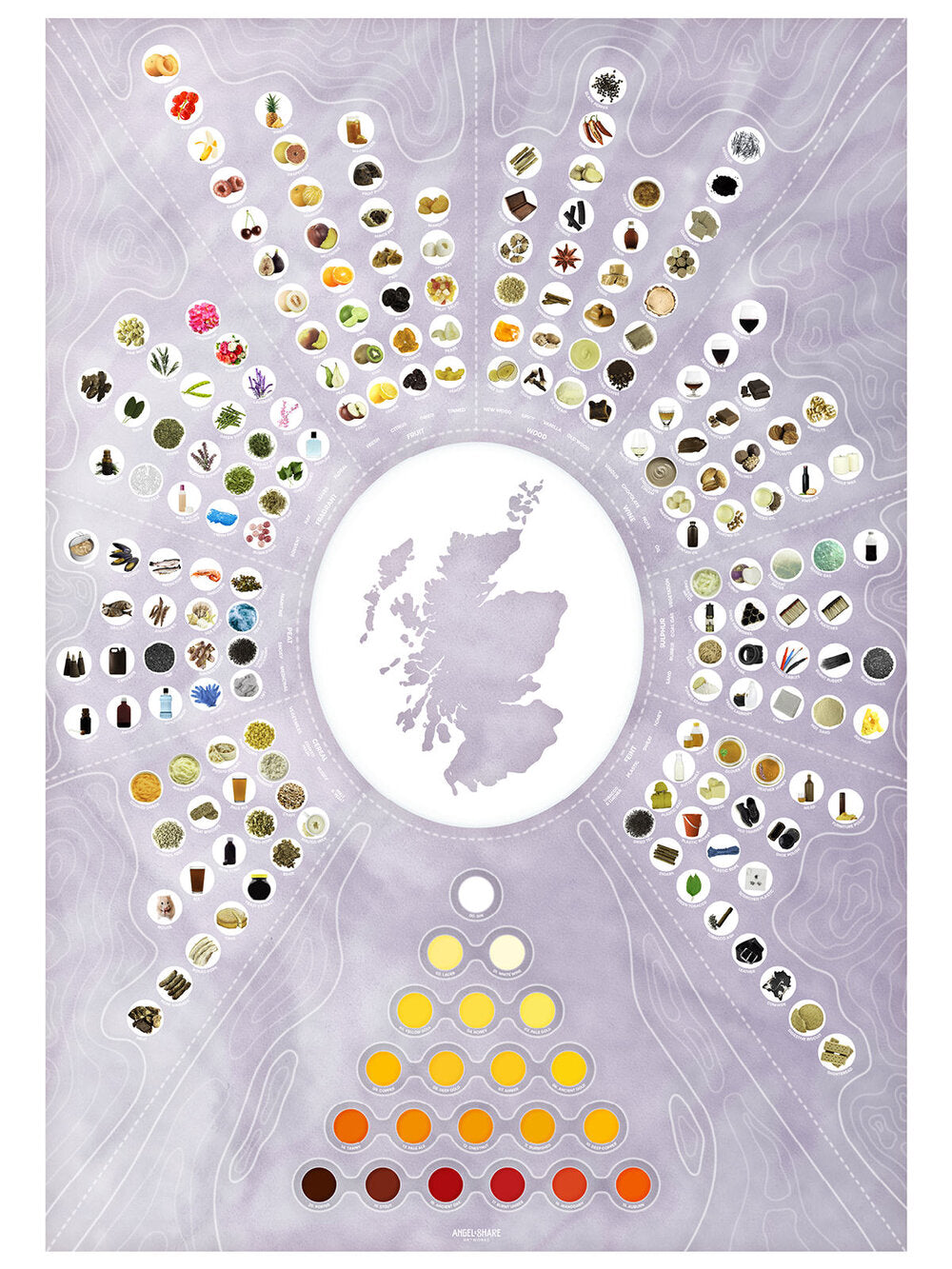 Whisky Flavour Chart - Contour Series