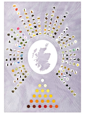 Whisky Flavour Chart - Contour Series